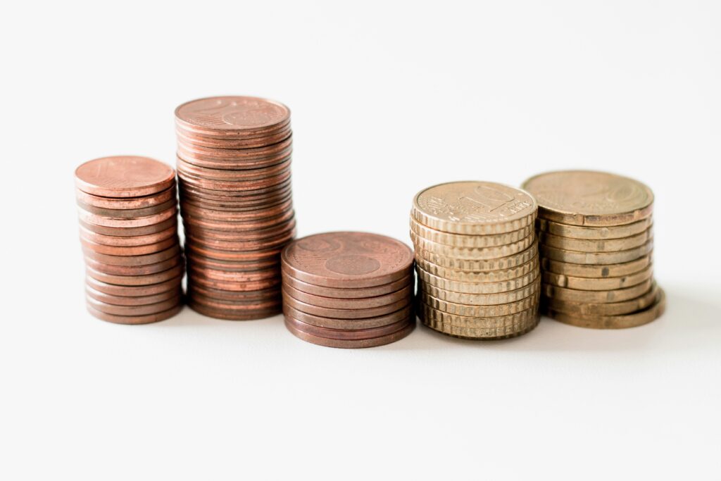 Cost of fuel taxes